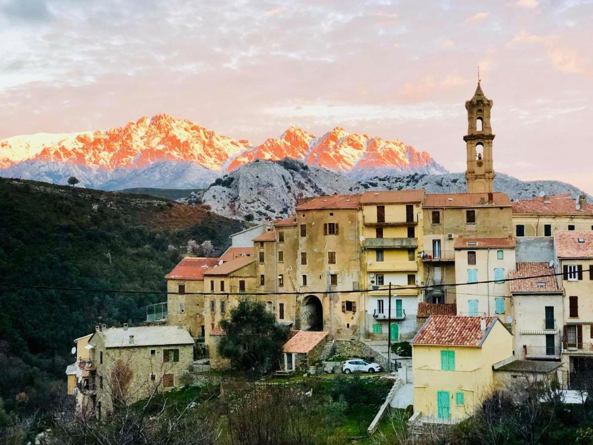 Charmant F2 Dans Joli Village Corse Omessa Exterior photo